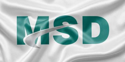 Главная 19 Полотно MSD для натяжного потолка